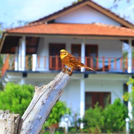 Pearl Cave Cabanas & Resturant Tangalle Dış mekan fotoğraf