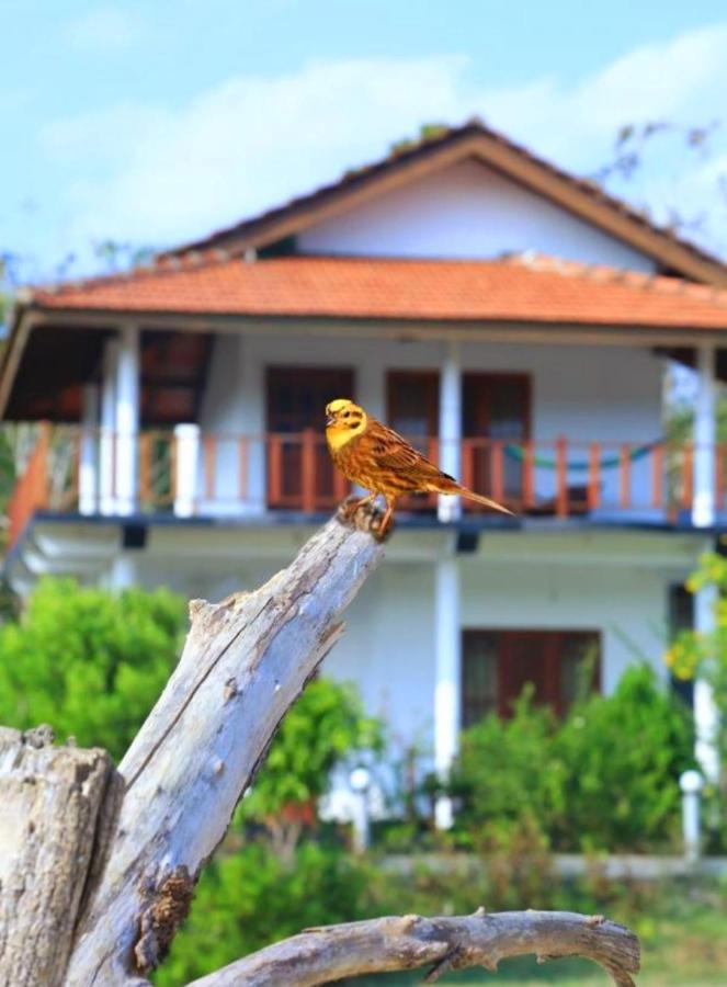 Pearl Cave Cabanas & Resturant Tangalle Dış mekan fotoğraf
